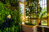 Genesis Green orangery installation